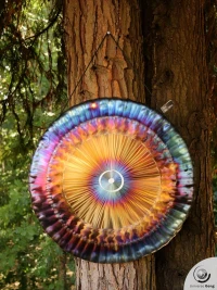 Planetary Gong Sun 2.60 kg / 5.73 lb